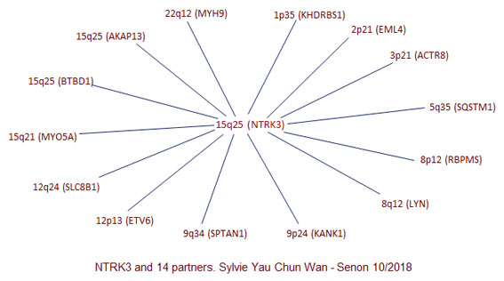 NTRK3 partners